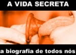 A Vida Secreta