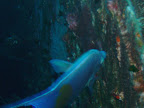 PICT0126.JPG