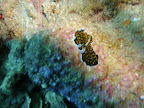 PICT0152.JPG