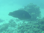 PICT0169.JPG