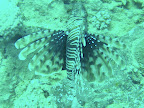 PICT0184.JPG
