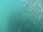 PICT0260.JPG