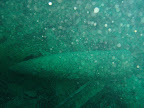 PICT0263.JPG