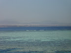 PICT0366.JPG