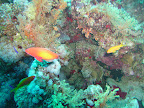 PICT0376.JPG