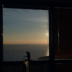 IMG_20110104_084307.jpg