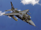 The bomb, once released by the mother aircraft at appropriate range, will seek the target and home on to it very accurately and with high reliability Sepecat Jaguar