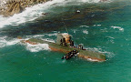 A submarine that sank near Gangneung, Gangwon Province during what was probably a spying operation in 1996 was also a shark Sang-O (Shark) class