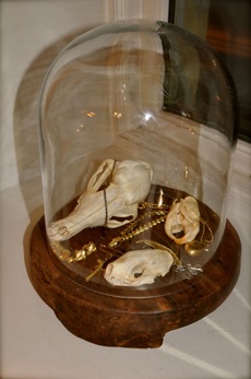 clip_image001