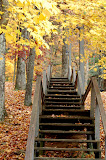 Steps into Yellow