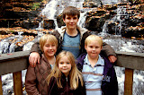 The Kids at the Falls