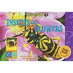 [insectsvisitflowers4.jpg]