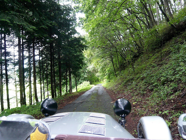 大きくしてね♪