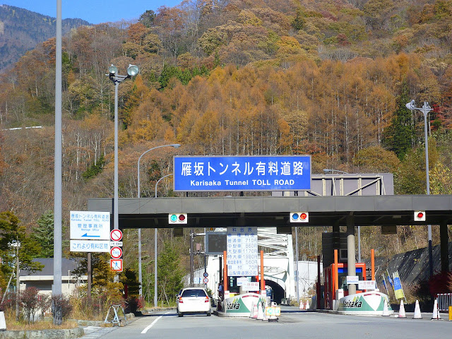 大きくしてね♪