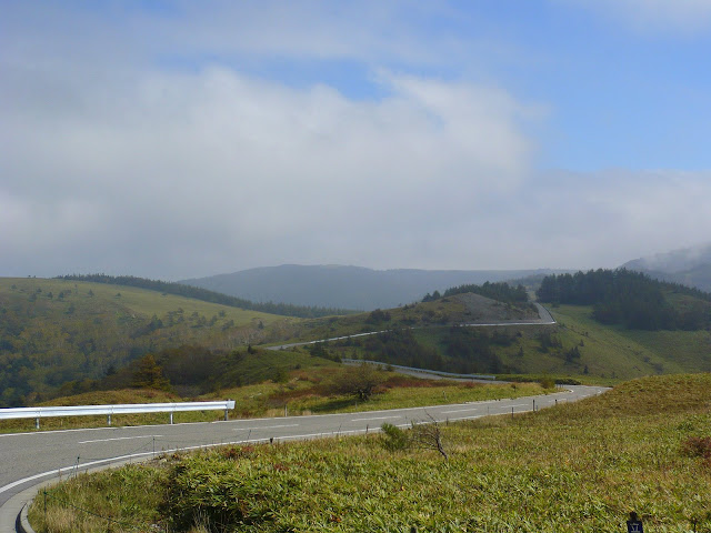 大きくしてね♪