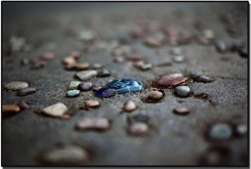 IMAGE: http://lh3.ggpht.com/_cYmfRMewE4Q/SZkEltRTtZI/AAAAAAAAJv4/qAp1laLvQLg/s800/IMG_1498.JPG