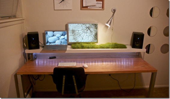 organic-shelf-office