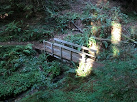 CIMG0206.JPG