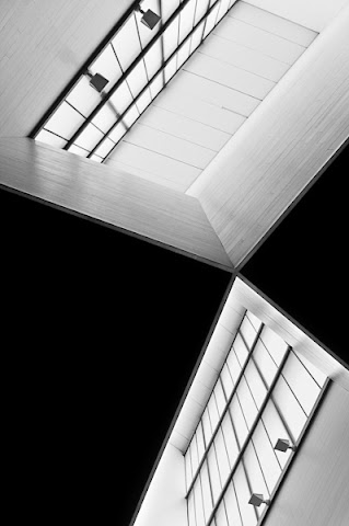 Tangram, de l'edSELVA