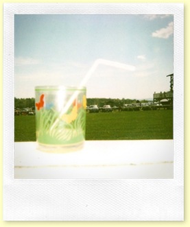 Foxfield 2
