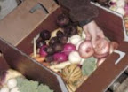 Photo of the share - Autumn Vegetable Share