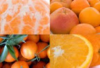 Photo of the share - Three Seasons of Fruit