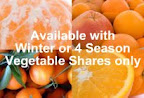 Photo of the share - Winter Fruit