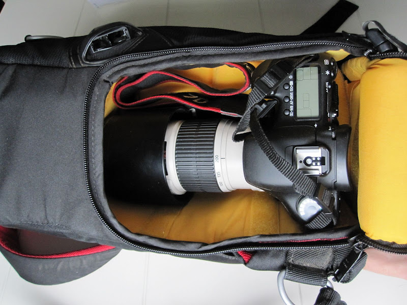 IMAGE: http://lh3.ggpht.com/_cgZocijJMoU/TNakK5e5-MI/AAAAAAAADcE/90HEIru0Awo/s800/IMG_8118.JPG