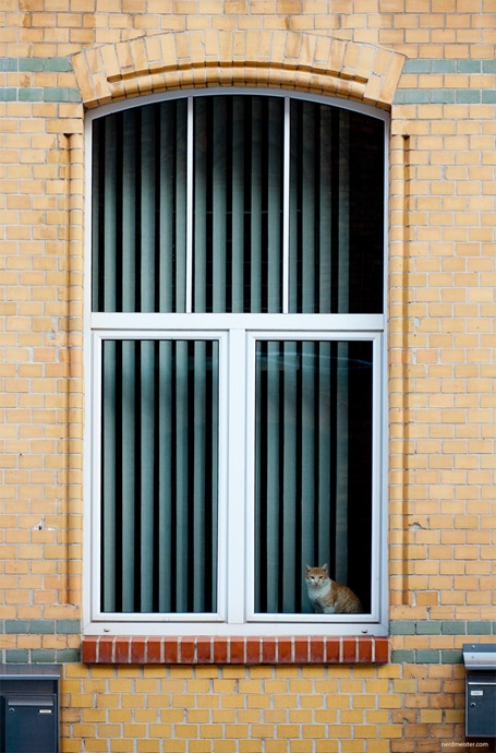 IMG_20100216_162544_8409