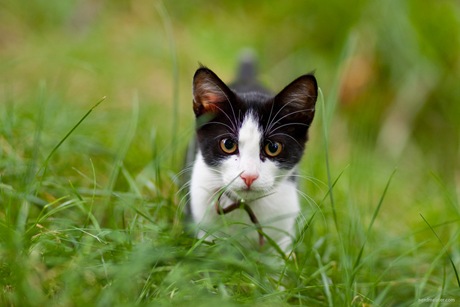 IMG_20090825_173202_8203