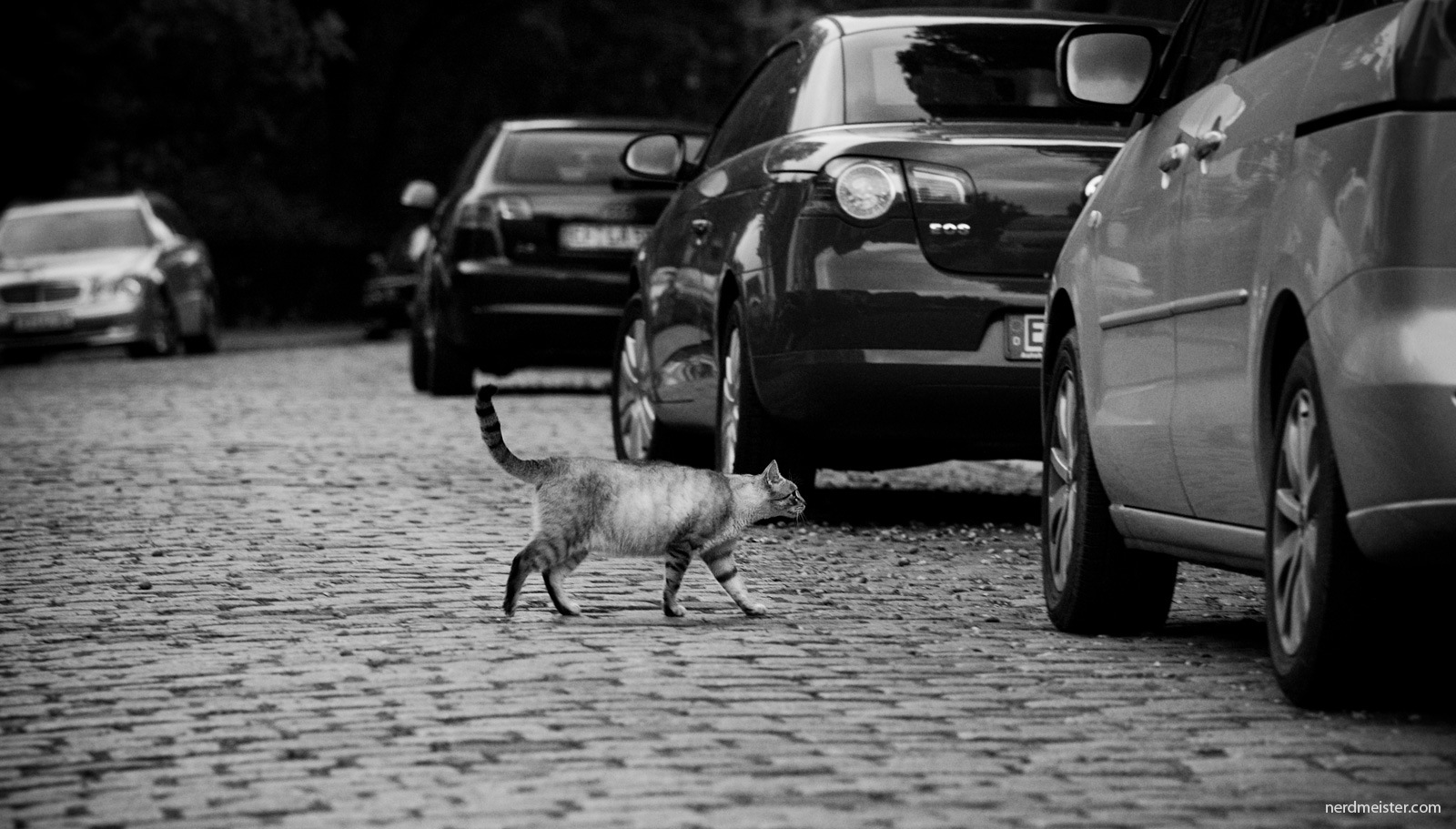 [IMG_20090920_190434_2024[2].jpg]
