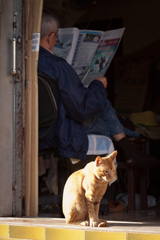 [20101110_1830[3].jpg]