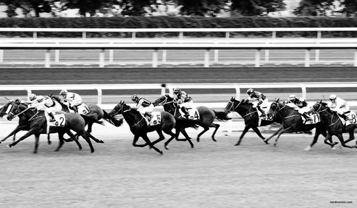 IMG_20101114_101020_2159 IMG_20101114_101020_2159