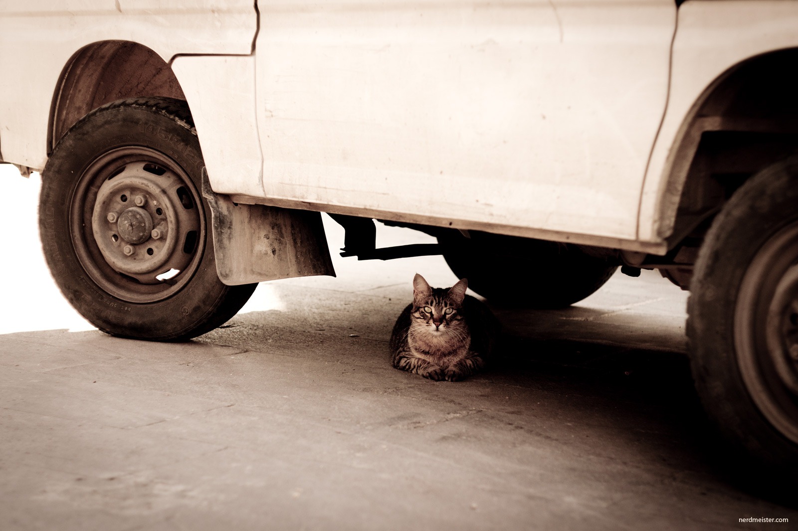 [IMG_20110409_162824_2920[2].jpg]