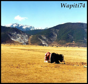 L'empire dans les nuages, Yunnan (Chine) 57%20Zhongdian