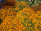 Victoria, Vancouver Island And The Gulf Islands Slideshow