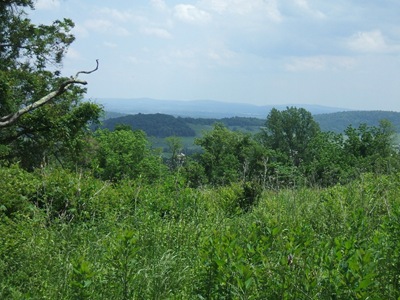 DSCF1202 DSCF1202