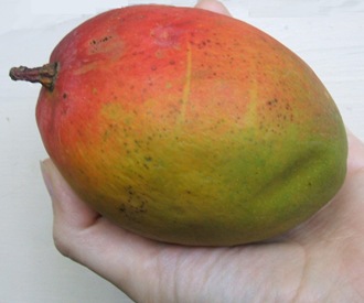 edited hand with mango