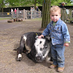 DSCN6776.JPG