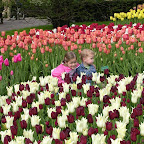 DSCN6749.JPG