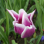 DSCN6753.JPG