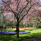 DSCN6849.JPG