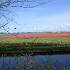 DSCN6811.JPG