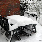 DSC_3441.JPG