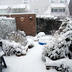 DSC_3431.JPG