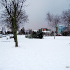 DSC_3476.JPG