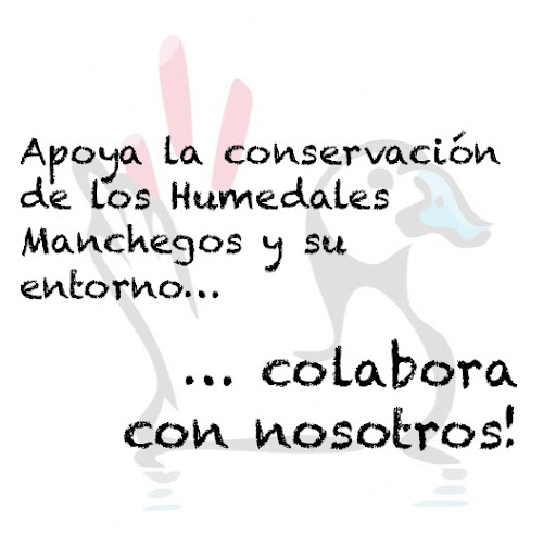 http://lh3.ggpht.com/_ckGfYmWP2aw/TRo3A8FVraI/AAAAAAAAAPo/bDlLYmufPqA/s512/Colabora%20con%20nosotros.jpg