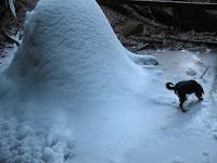 Winter Hike; Cantwell Cliffs State Park, near Logan, OH