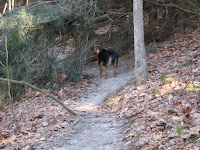 Winter Hike; Cantwell Cliffs State Park, near Logan, OH