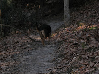 Winter Hike; Cantwell Cliffs State Park, near Logan, OH